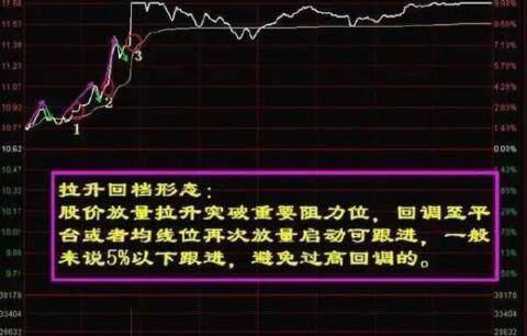 特马资料最准确，揭秘精准预测的背后秘密特马资料最准2024开奖前一天0期