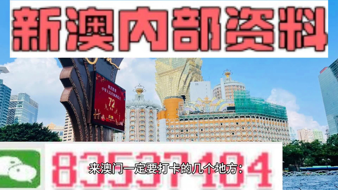 揭秘2024年新澳门免费资料，探索最新趋势与实用信息新奥最精准免费大全