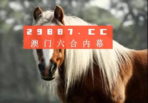 澳门精准一肖一码，探索必中之道澳门精准一码必中期期大全