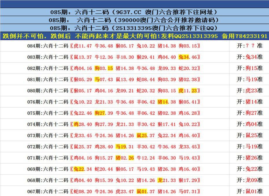 香港全港四肖八码精选资料解析香港四肖八码师网