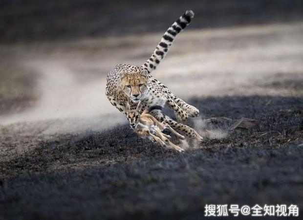 第856页