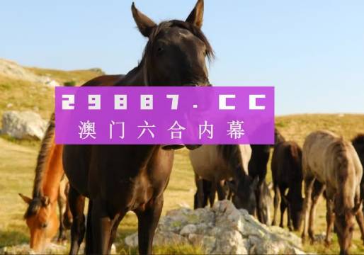 揭秘4949us天下彩免费资料大全背后的秘密4949us天下彩免费资料大全一 192.168.0.1