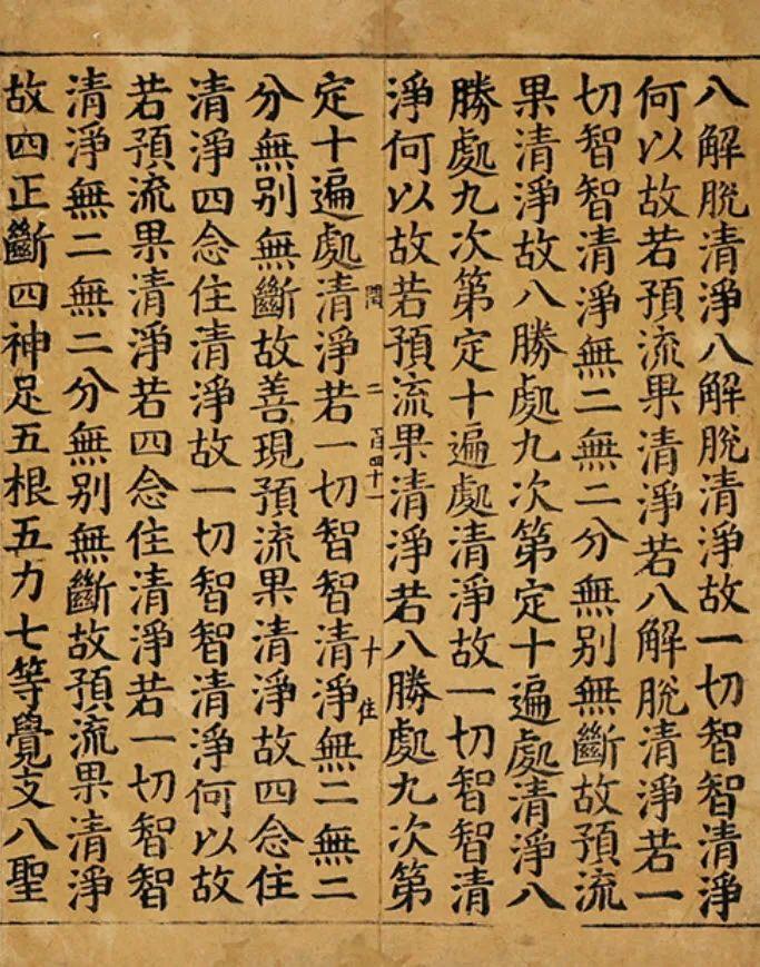 二四六天天彩资料大全网，探索彩票世界的门户二四六天天彩资料大全网最新