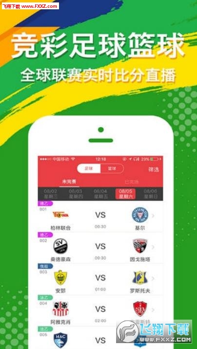 揭秘493333王中王开奖结果675，一场数字背后的故事493333王中王开奖结果675美人鱼