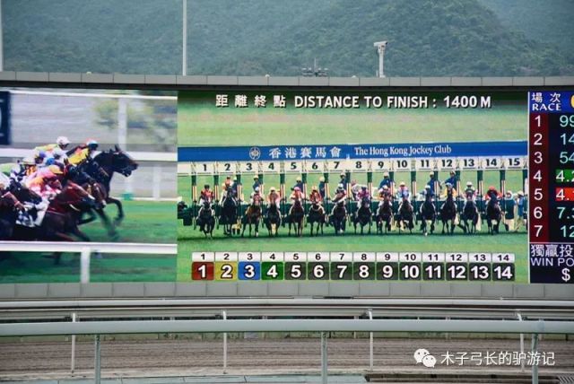 2019香港马会全年资料大全，赛事、数据与趋势的综合呈现香港2021年马会资料