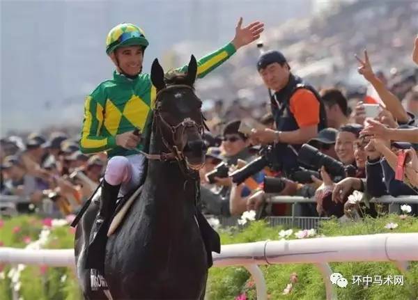 香港马会2019年开奖结果历史记录，回顾与探索