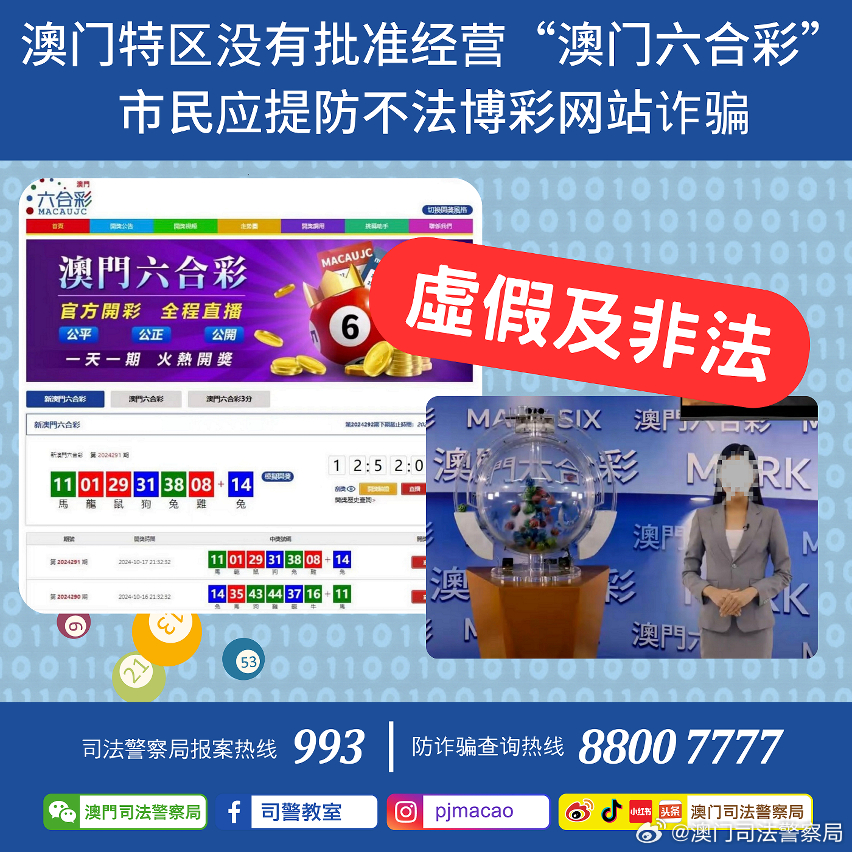 澳门管家婆今晚正版资料解析与探讨