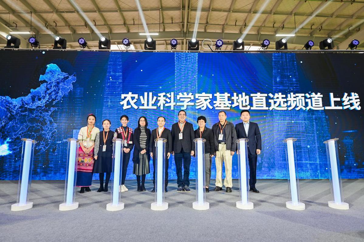 淘码心水论坛，探索数字世界的宝藏之地淘码网心水谈论