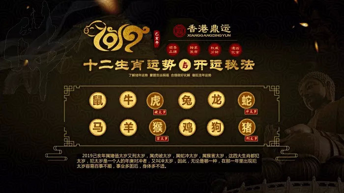 今晚必二肖，探寻幸运之夜的神秘面纱今晚必二肖2019