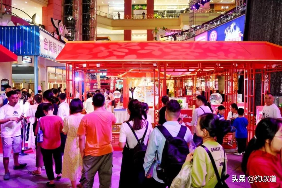 开门彩网，探索互联网彩票新纪元开门彩彩票网