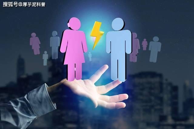 揭秘2024年管家婆一肖一特，神秘预测背后的真相管家婆1肖中特
