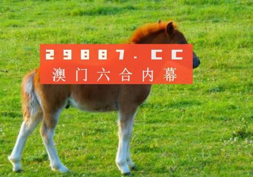 澳门六开奖结果2023年开奖记录查询网站—数据与乐趣的交汇点开奖澳门开奖结果 开奖记录表