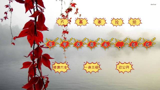 曾道正版资料免费大全一肖，探索与分享曾道正版资料免费大全一肖一码