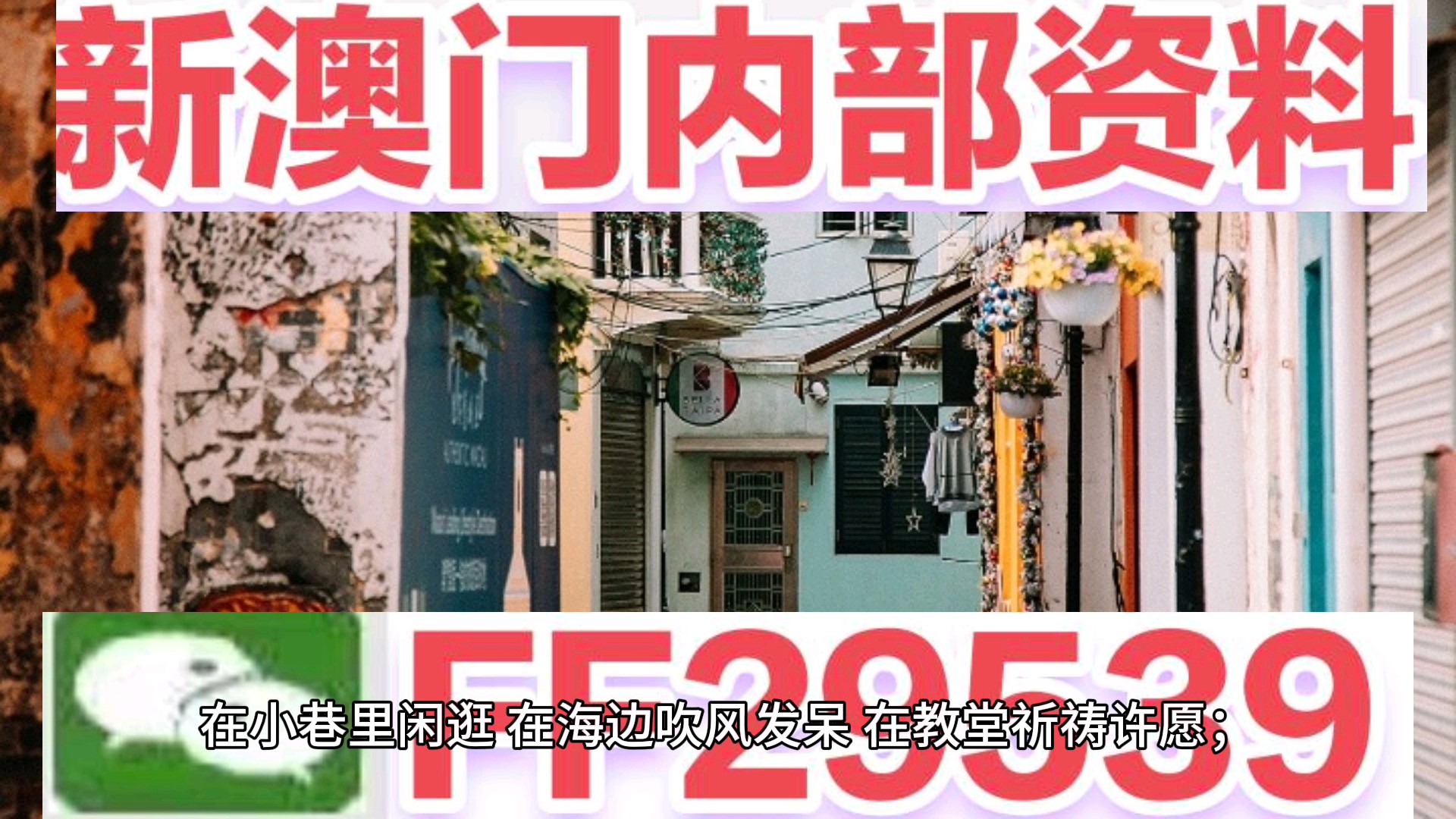 澳门资料大全，探索2023年澳门的新面貌（免费彩色版）2023澳门资料大全免费彩色4999