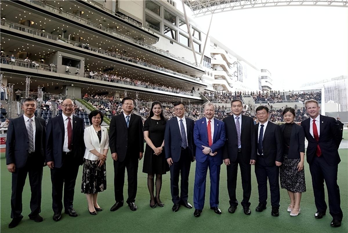 香港马会资料大全2019，赛马运动的繁荣与多元发展