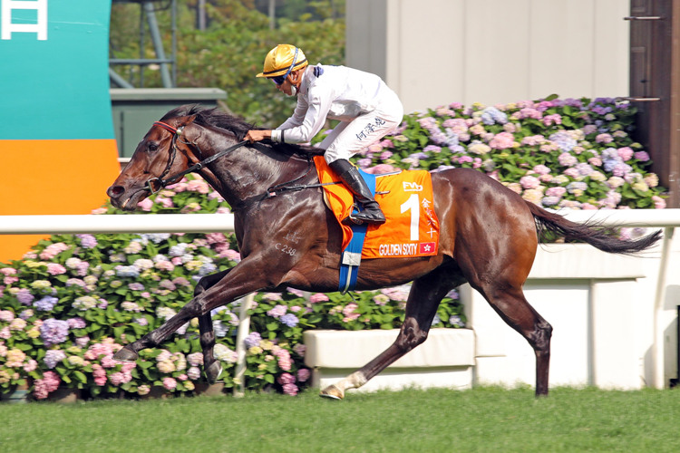 香港马会正版料大全2021，探索赛马运动的魅力与精彩香港正版马会免费资料大全