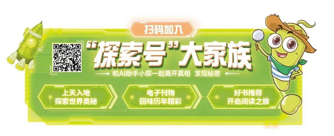 探索数字世界中的美好寓意—解读246天天好彩9944cc
