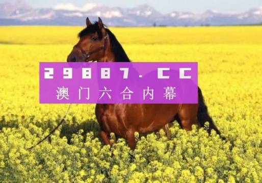 澳门2023精准资料全年免费，探索与揭秘澳门2023精准资料全年免费酷知