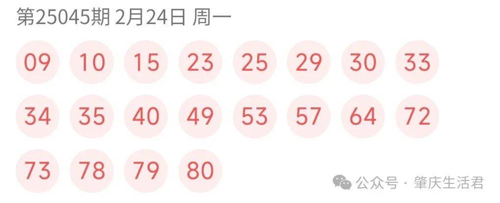 澳门今晚开奖结果2023年，探索彩票背后的故事澳门今晚开奖结果2023年7月