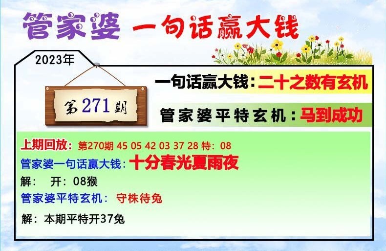 管家婆一码中一肖更新日期的秘密