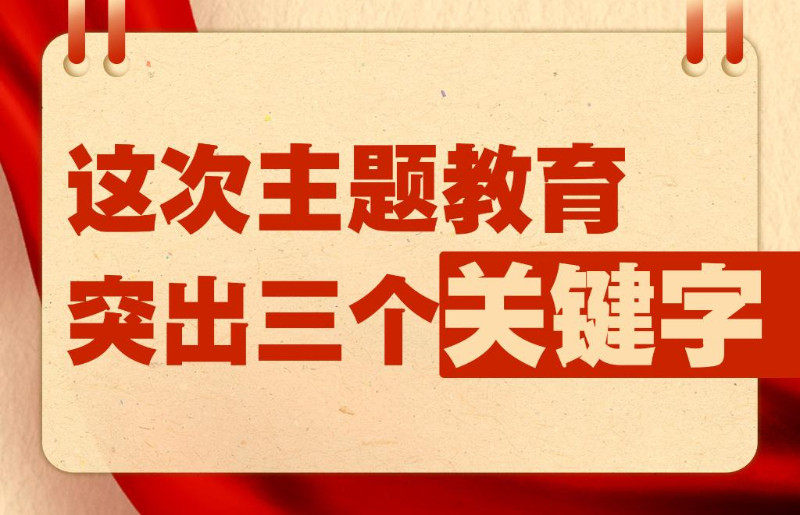 新澳2023管家婆资料详解