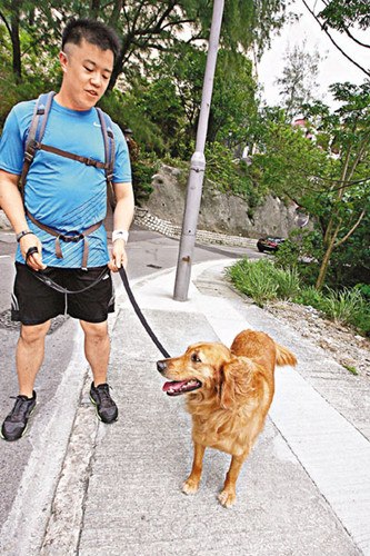 香港曾道免费资料大全，探索与分享香港曾道免费资料大全