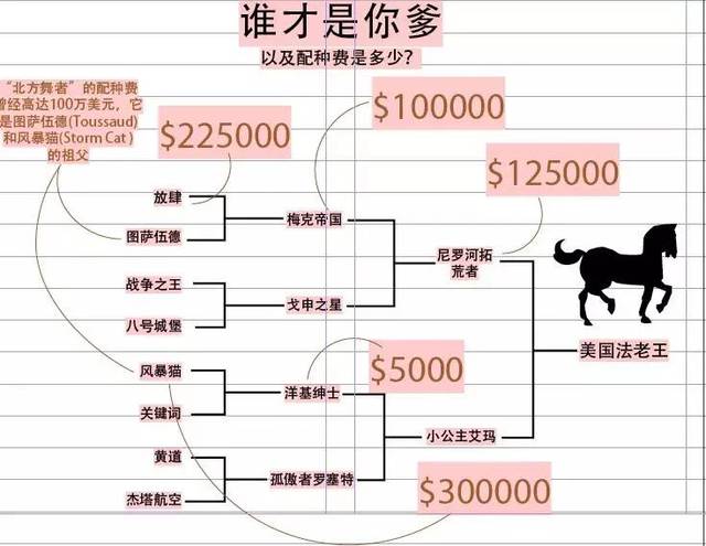 澳门三肖三码期期准资料免费，揭秘与探讨澳门三肖三码期期准资料免费一