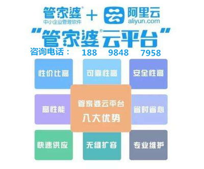 揭秘管家婆2019年开奖结果，回顾与解析管家婆开奖结果出2019