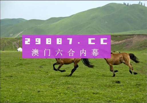 探索澳门官方CA88选89168的魅力澳门彩官方总站