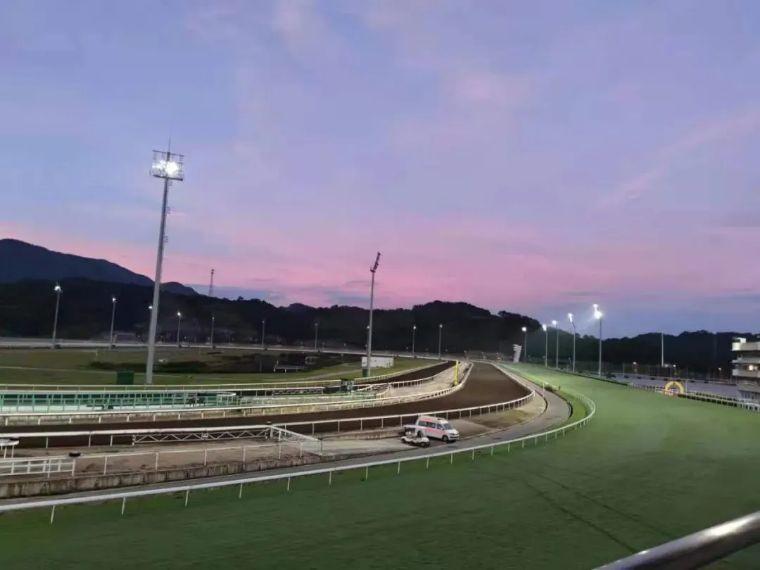 揭秘香港马会，2021年最快开奖结果回顾香港马 会开奖结果新闻