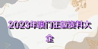 澳门正版资料大全，探索2023年的无限可能2023澳门资料正版大全免费1