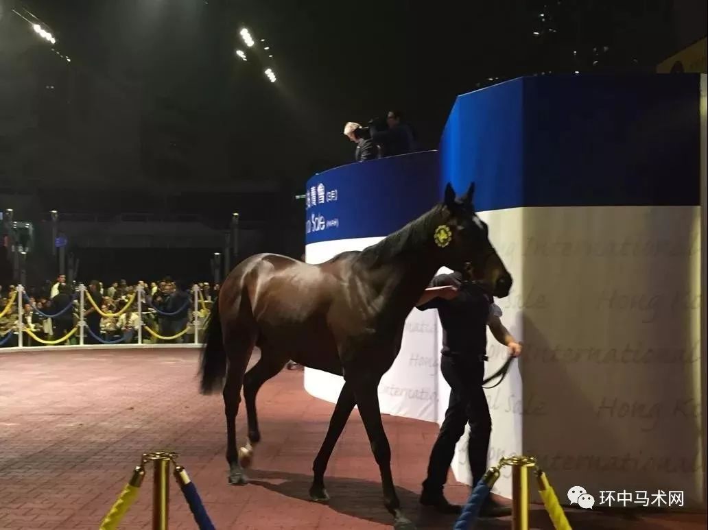 香港本港台赛马结果，速度与激情的交织看香港本港台开码结果