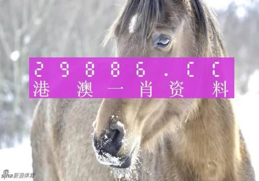 澳门一肖一码，揭秘精准预测的奥秘澳门一肖一码100精准,公开