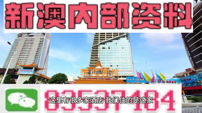 揭秘澳门正版资料，免费公开背后的故事与启示（2023年）2023年澳门正版资料免费公开官方版