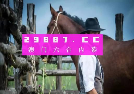 探索正版资料的世界，曾道正版资料免费大全一肖的独特价值曾道正版资料免费大全一肖一码港彩大众网