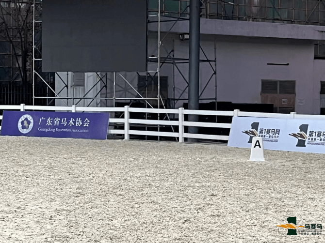 澳门正版马会精选资料大全，探索赛马运动的精华所在澳门正版马会精选资料大全小编简评