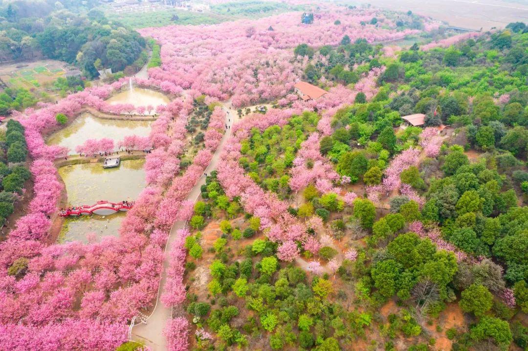 百万彩色图库，探索视觉艺术的无限可能百万图库118彩色