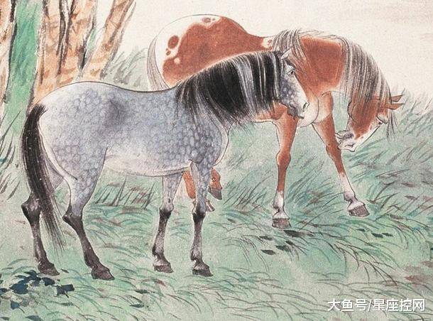 揭秘2019年特马生肖图，探寻背后的神秘与奥秘2019年特马生肖图22期