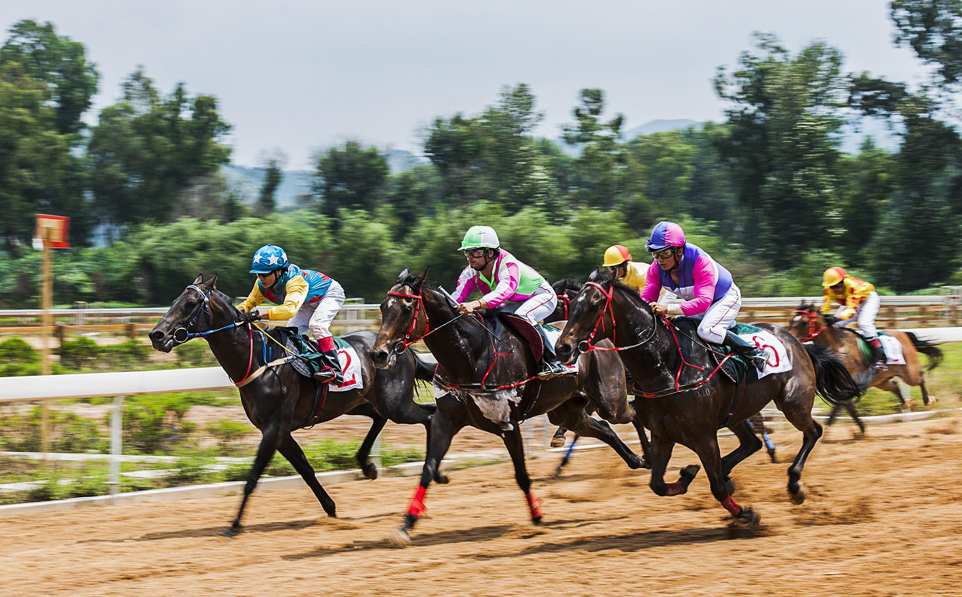 2019香港马会全年资料大全—赛马界的权威指南香港2020马会资料