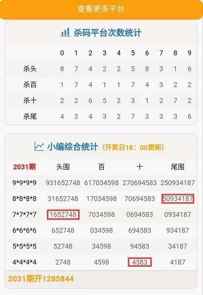 蓝姐平码论坛，探索数字世界的智慧聚集地蓝姐平码资料大公开