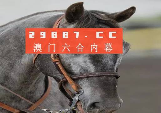 新澳门精准一肖一码准确公开，探索预测的魅力与艺术澳门精准一码必中期期大全