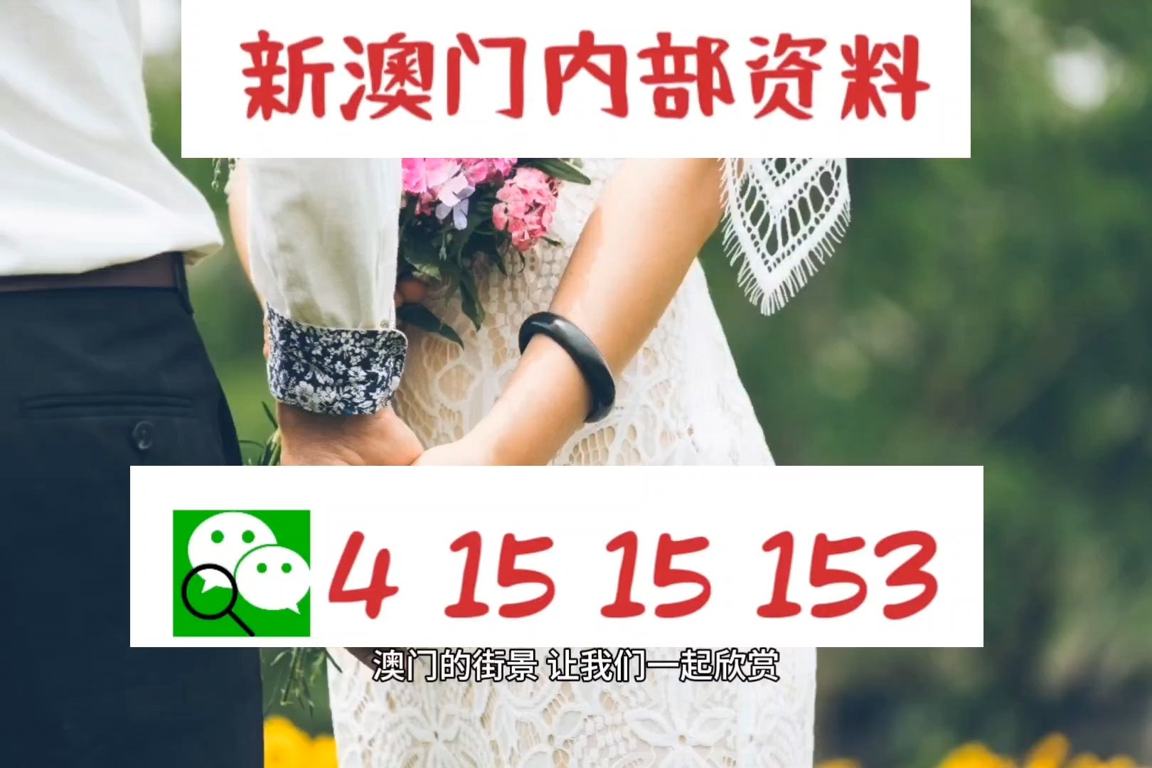 探索澳门，2024澳门精准正版免费大全2024澳门精准正版免费大全284期