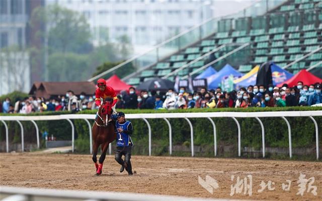 探索香港赛马文化，今天特马开什么？今天香港开什么特马人民日报任平文章