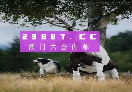 澳门正版资料全年免费公开，探索与分享之旅（2022版）2022澳门正版资料全年免费公开,澳门正