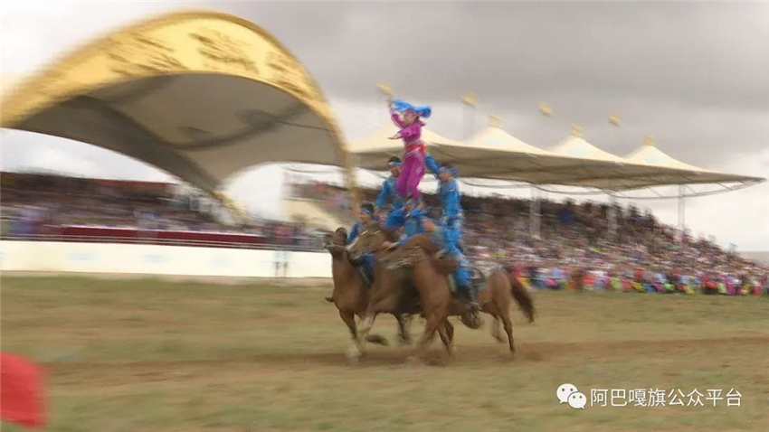 探索香港特马，深入了解赛马文化及资料香港特马资料大全2019第99期