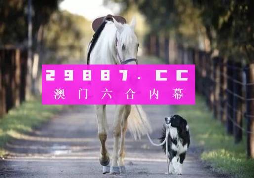 探索澳门官方CA88选89168的魅力澳门彩官方总站