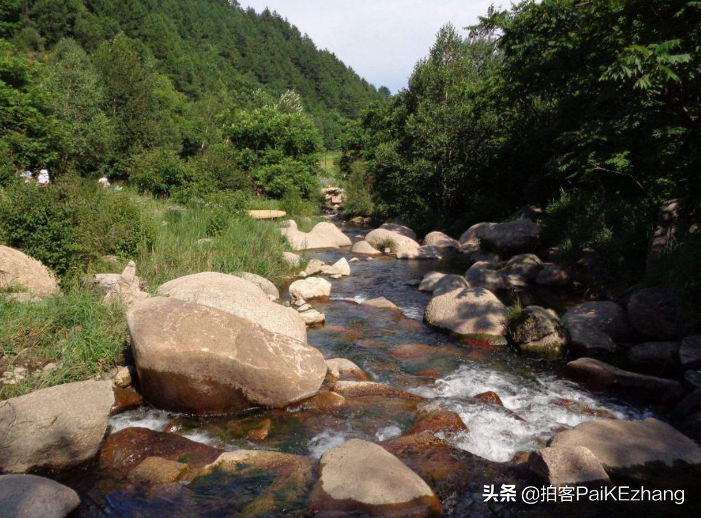 今晚9点30分的生肖开启，探寻神秘的生肖之旅今晚9点30开什么生肖最准的