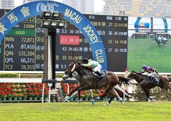 香港赛马资料大全香港马资料大资料大全2021年
