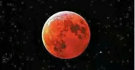 蓝月亮246精选料