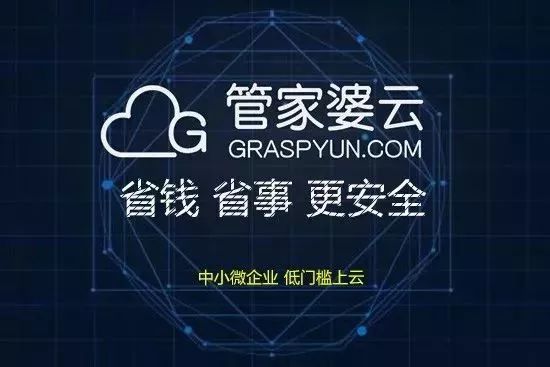 管家婆心水主论坛，探索管家婆的专业精神与智慧管家婆心水论高手论坛